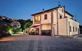 Agriturismo IL VECCHIO OLIVO